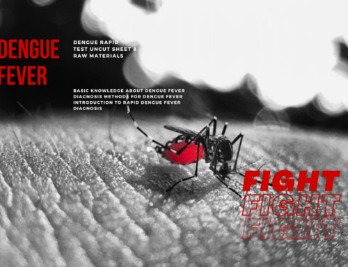 Fight Dengue Fever